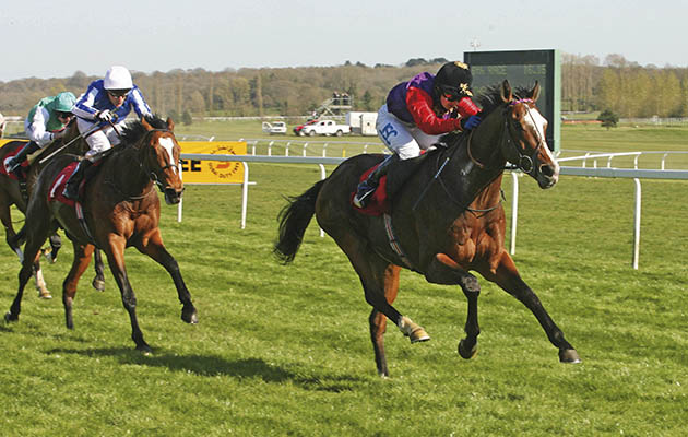 Newbury 17.04.2010
