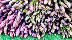 freshly harvested asparagus