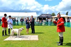 HH-prize-winnersMeath-Foxhounds-Passion-Passive-by-Exmoor-Belfry-08-winners-of-The-Horse-Hound-Perpetual-Challenge-Cup-for-the-Best-Couple-of-Unentered-Bitches.jpg