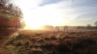 Frosty Britain - Andy Thomas