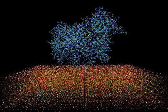 Molecular dynamic snapshot of a human lung protein 