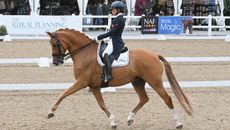 Hartpury CDI PSG Sarah Millis on Impressive
