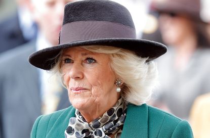 camilla duchess cornwall rare photos grandchildren new video