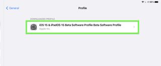 iPadOS 15 beta developer step 10 — select profile