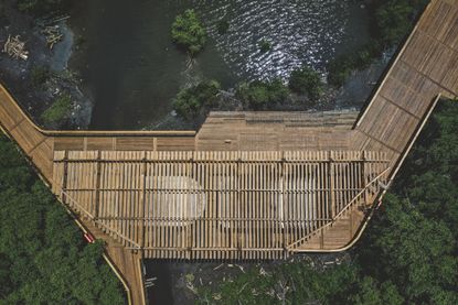 Ecoparque Ciénaga de Mallorquín