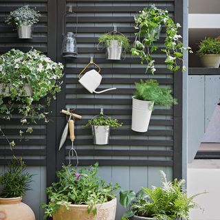 stylish vertical garden with potted plant