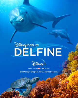 Plakat: Neu bei Disney+ Disneynature Delfine