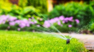 An irrigation system watering a lawn
