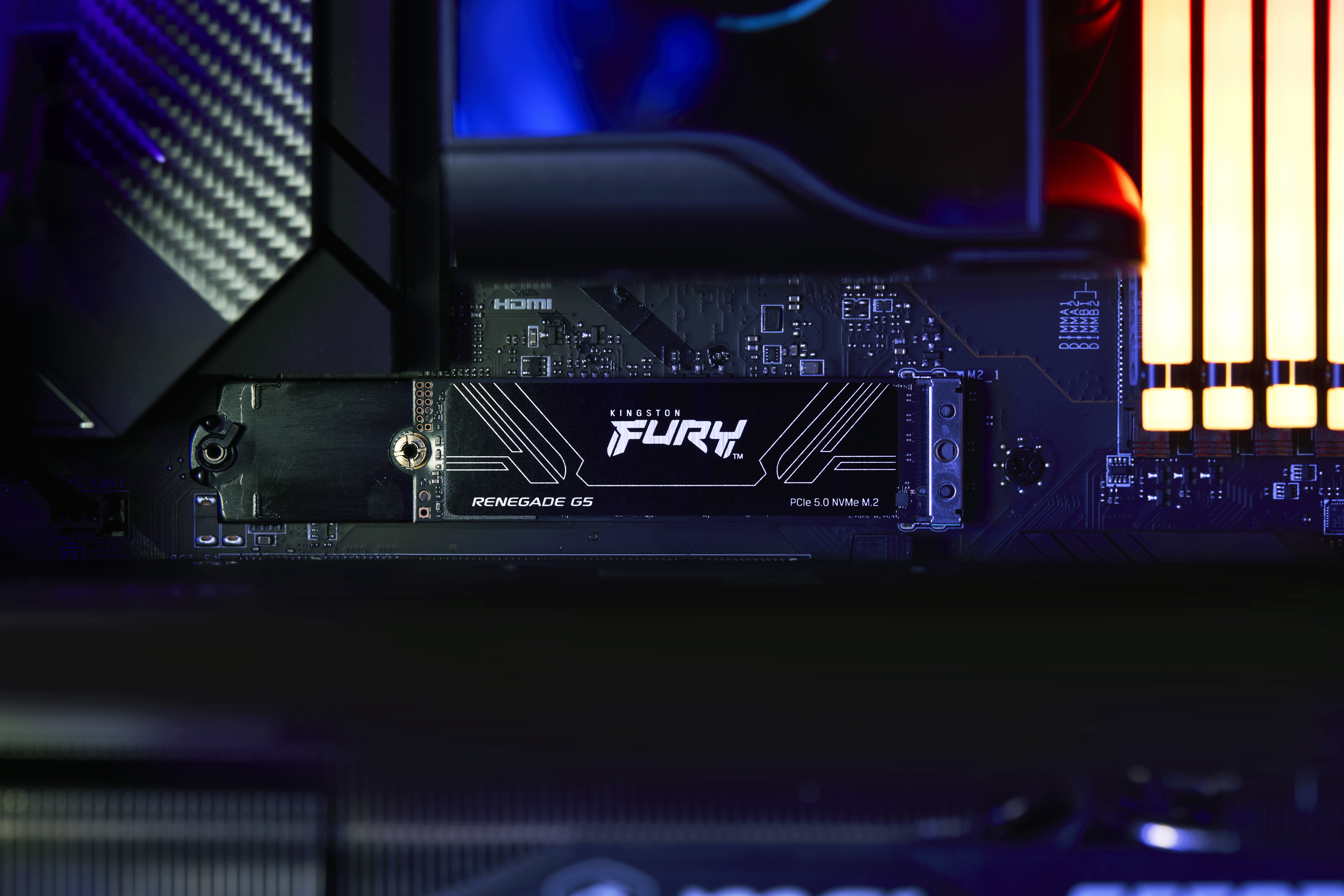 Kingston Renegade SSD