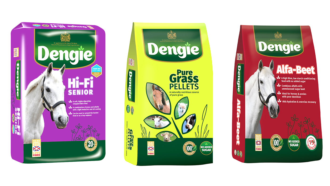 DENGIE TRIO WEB