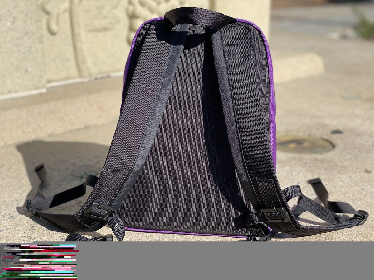 Tom Bihn Paradigm Alphaviolet Straps