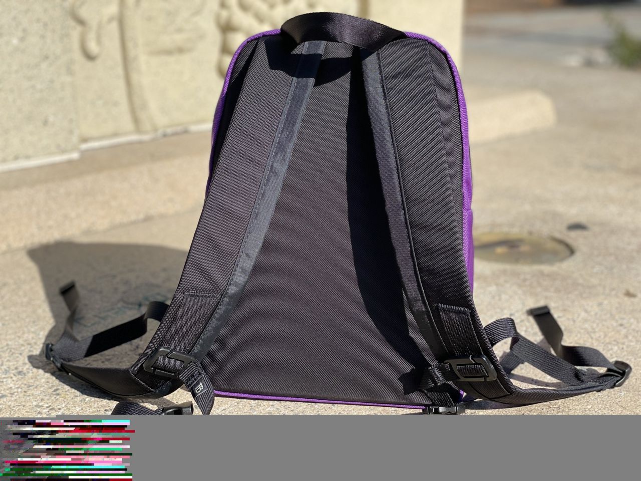 Tom Bihn Paradigm Alphaviolet Straps