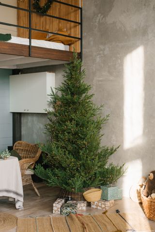 A Scandinavian Christmas tree with lights