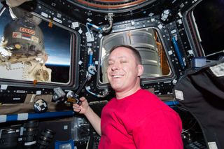 NASA astronaut and Expedition 51 flight engineer Jack Fischer works inside the International Space Station's Cupola observatory on May 2, 2017.