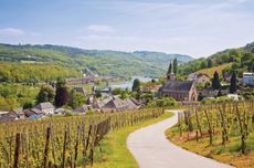 Vineyards near Schengen, Luxembourg
