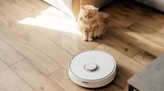 Robot vacuum and cat on wooden-style floor