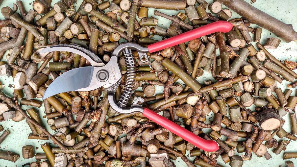 Best Pruning Shears: