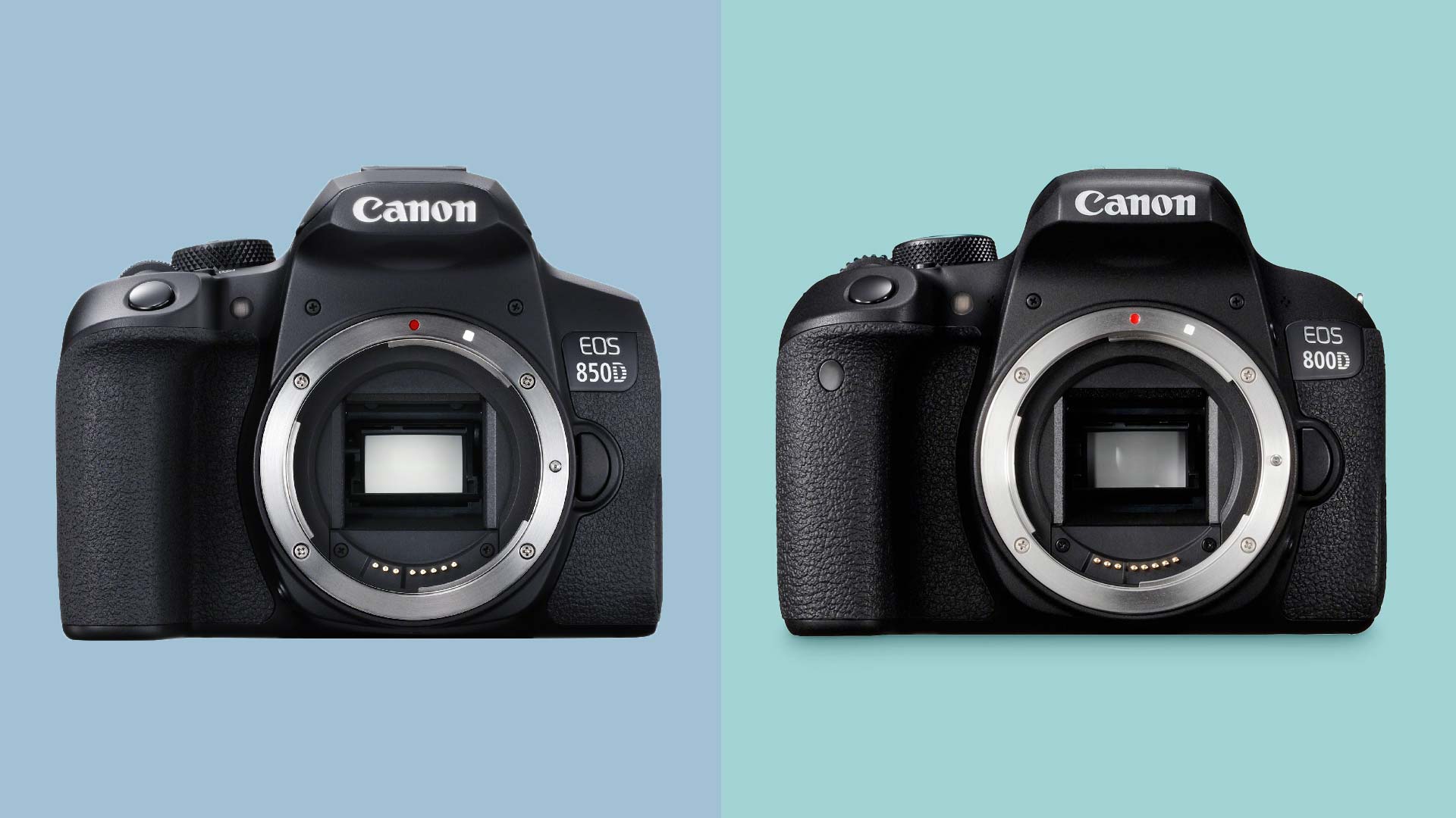 Stereotype sessie kwaadaardig Canon EOS 850D vs EOS 800D: comparing the beginner-friendly DSLRs |  TechRadar