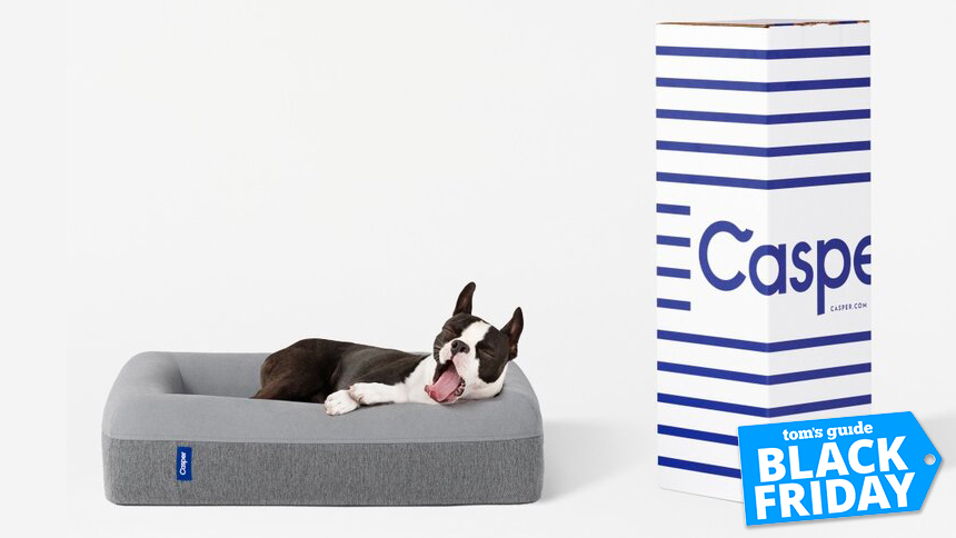 casper dog bed unboxing