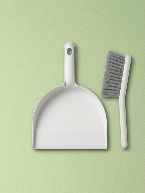 PEPPRIG Dust pan and brush