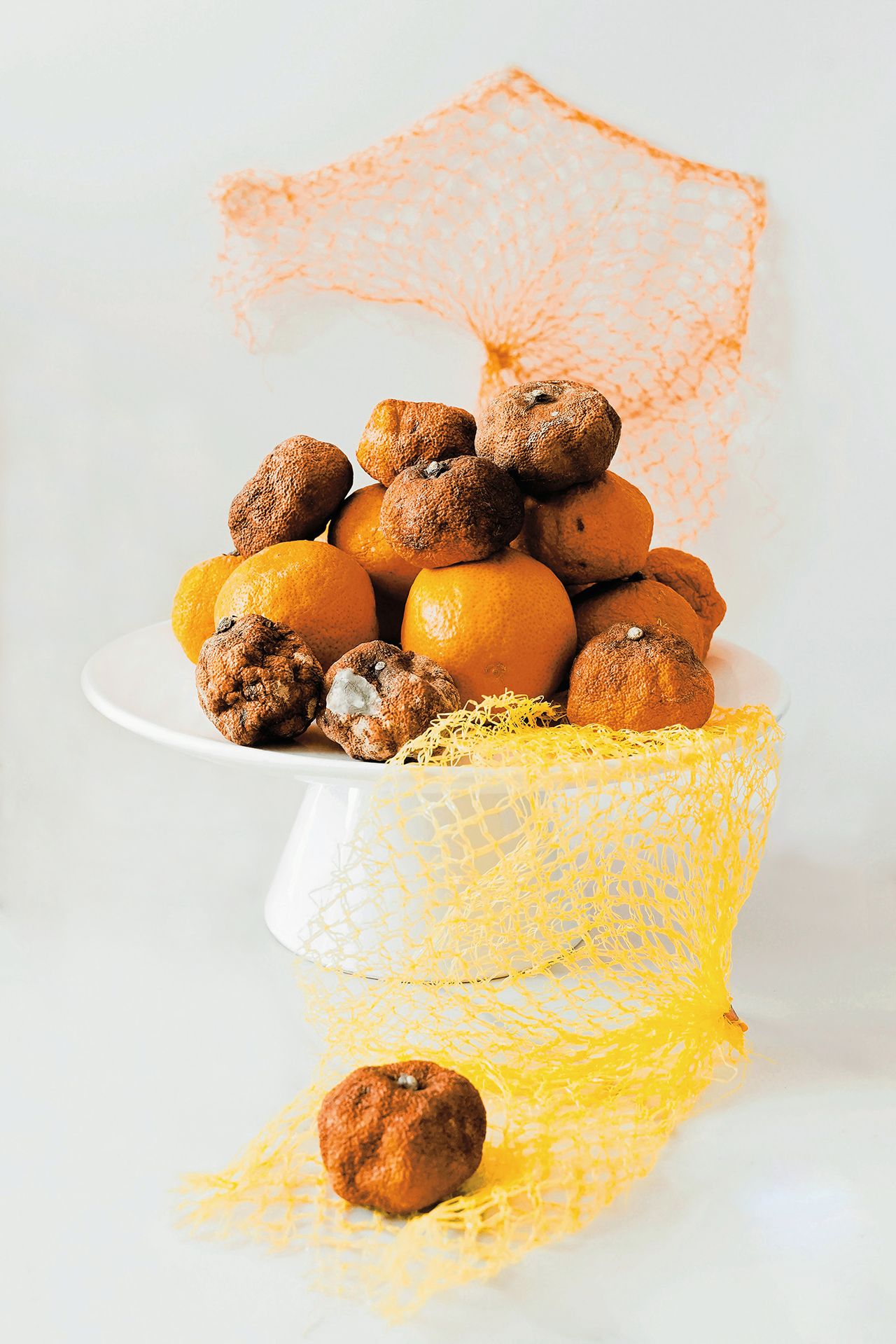 A white cake stand holds a mound of fresh oranges and moldy oranges, with yellow and orange mesh draped artistically around them