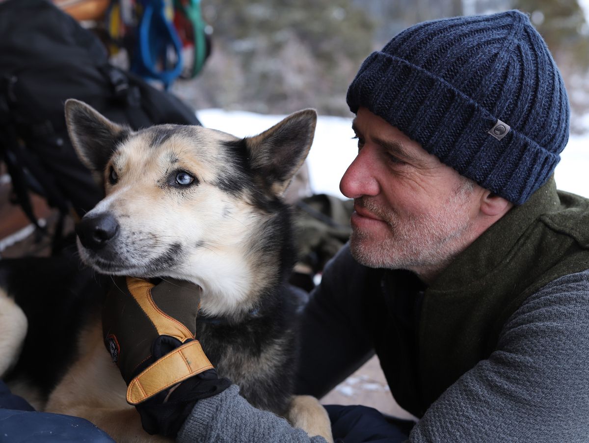 Snow Dogs: air date, Gordon Buchanan on what happens, more | What to Watch