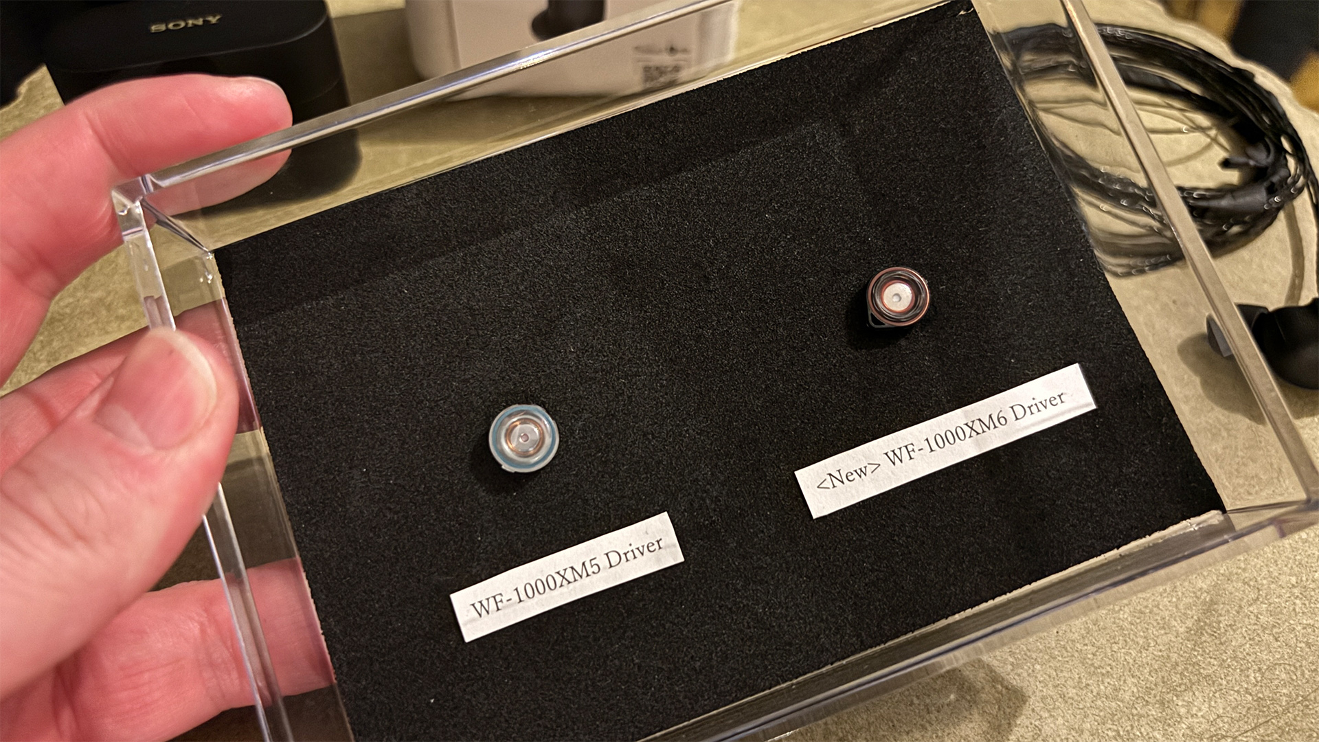 Sony WF-1000XM6 wireless earbuds