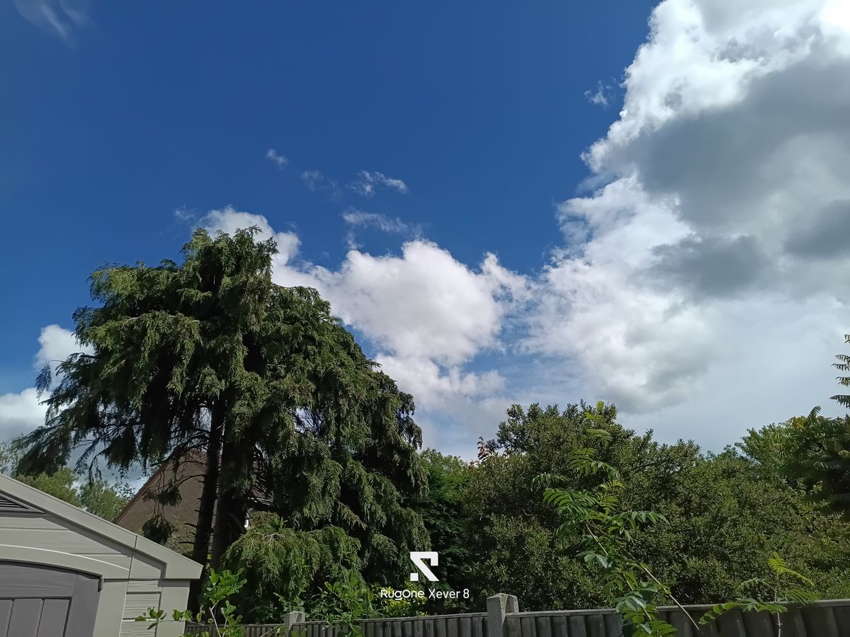 RugeOne Xever 8 Photo Examples