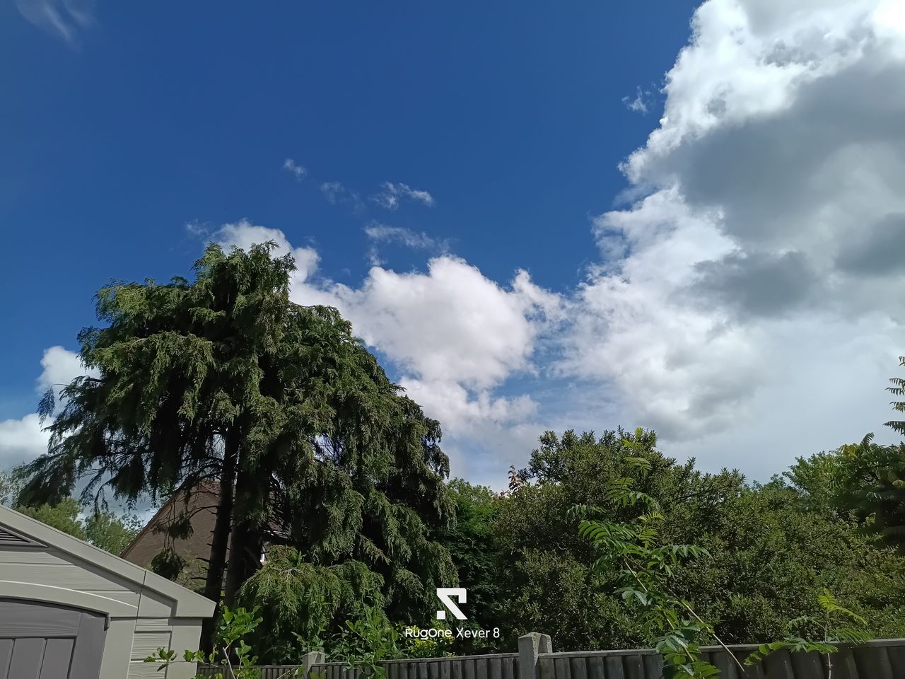 RugeOne Xever 8 Photo Examples