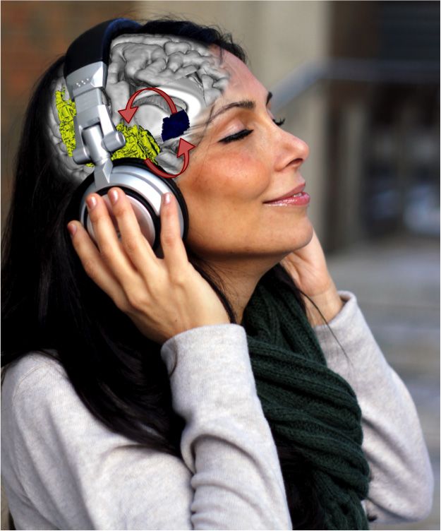 Brain areas linked with music appreciation