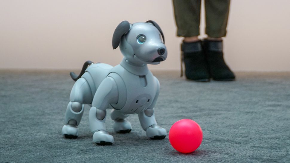 Sony Aibo