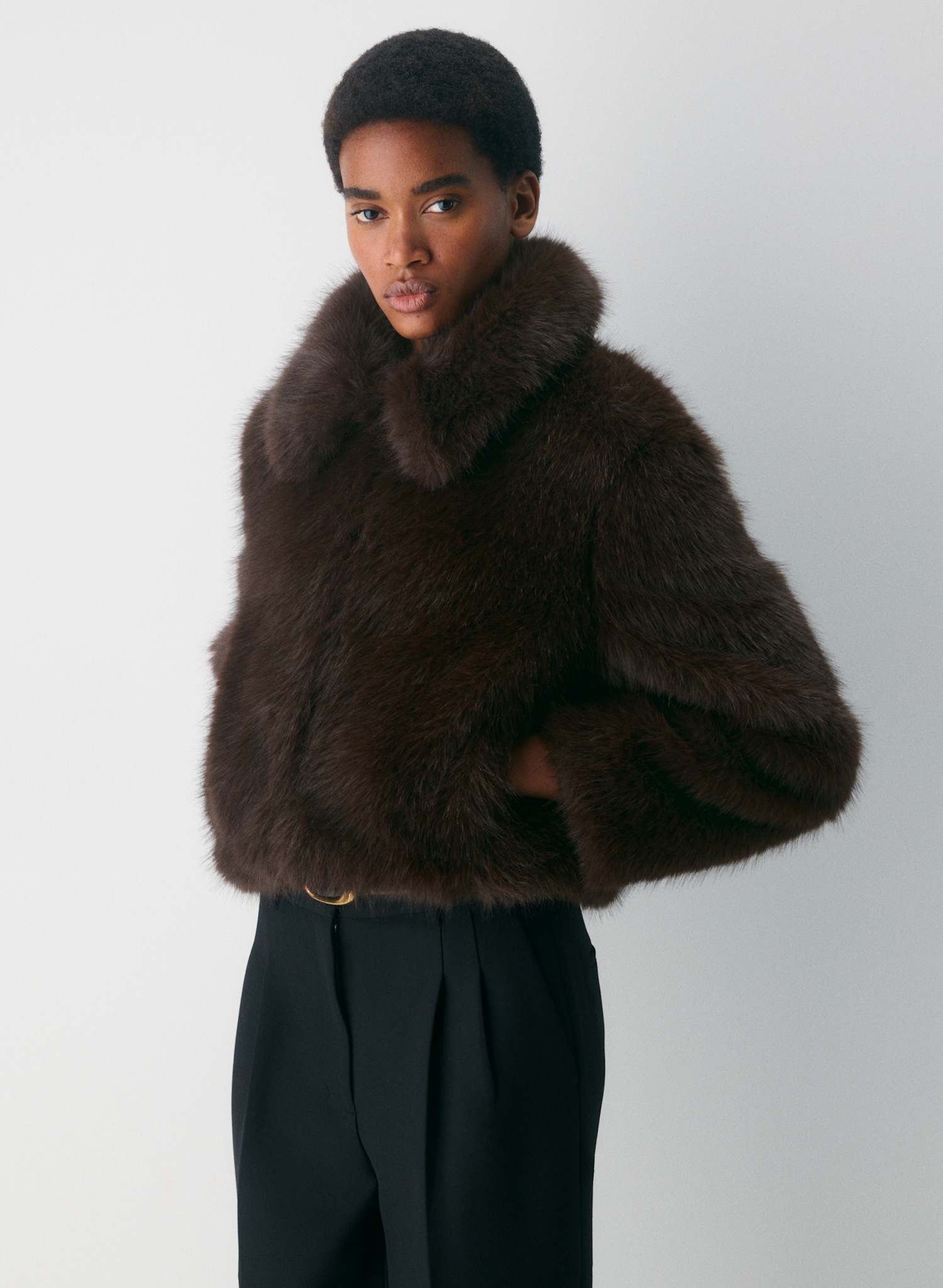 aritzia, Chamonix Coat