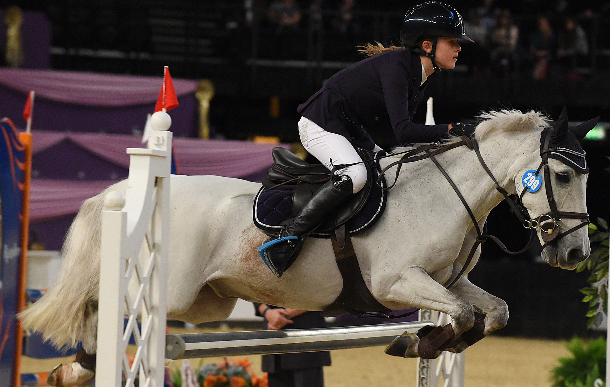 HOYS on 10 10 2015