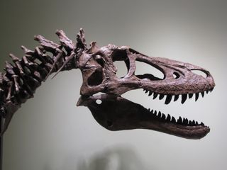 T. Rex cast