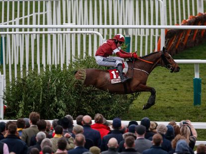 The Grand National Horse Every Golfer Should Be Backing