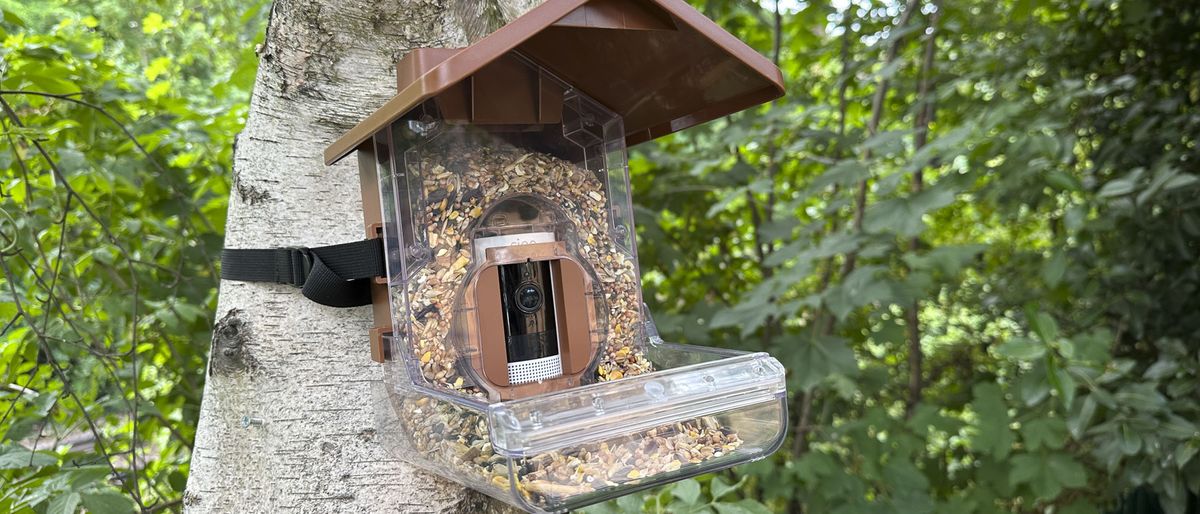 Wasserstein Bird Feeder Camera Case strapped to a tree