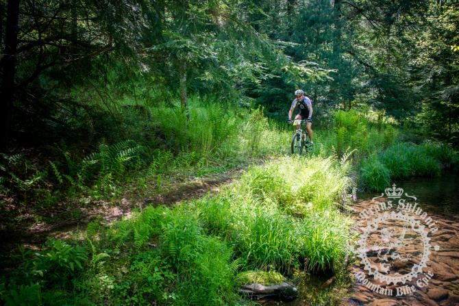This rider, immersed in the greenery of the first few hundred meters of the stage, is one of a crew of Panamanians who made the trip to this year's Trans-Sylvania Epic.