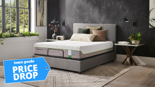 The Tempur-Pedic Tempur-Flex Supreme Breeze mattress with a blue price drop label over the image