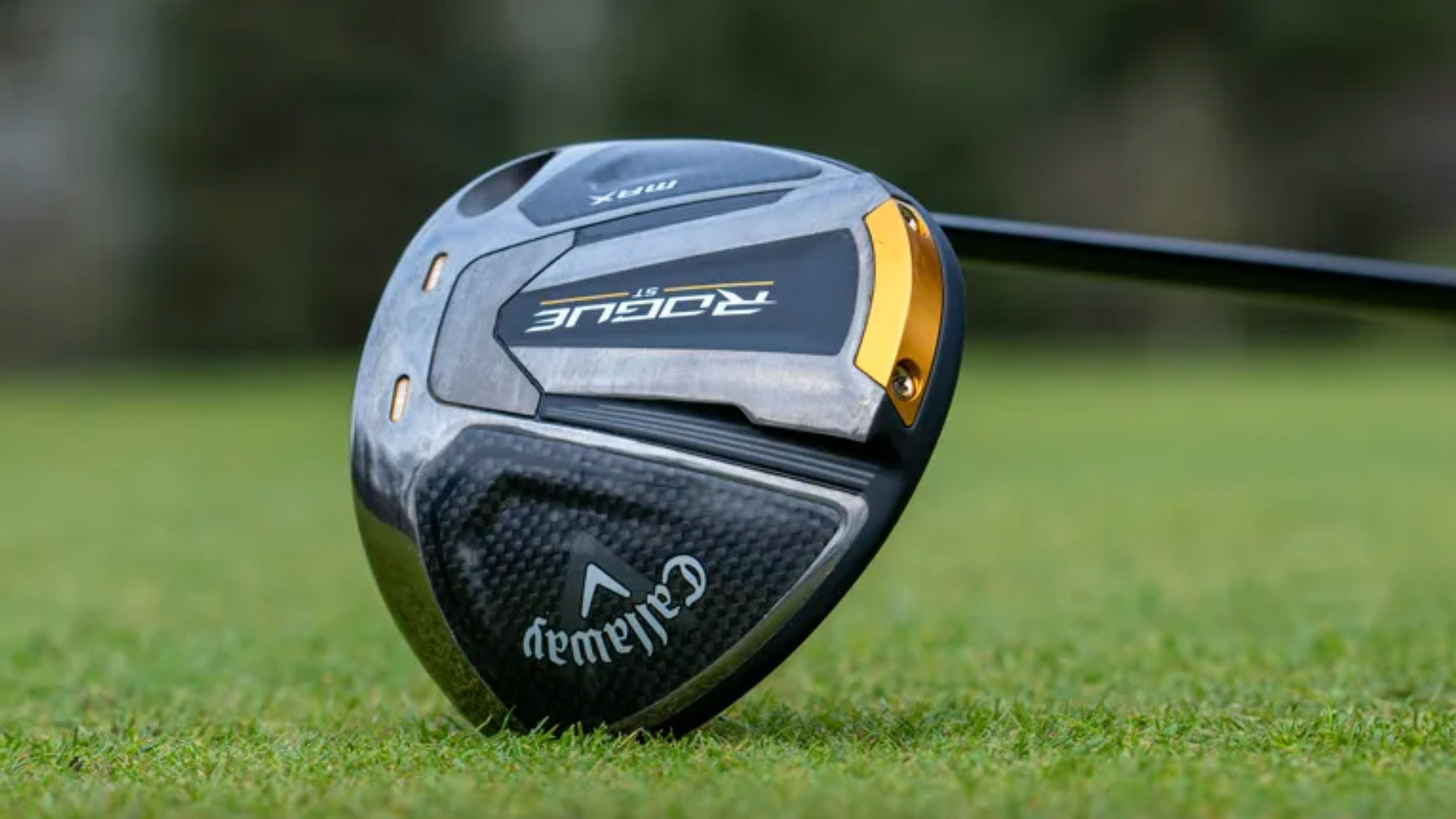 Photo of the Rogue ST Max driver