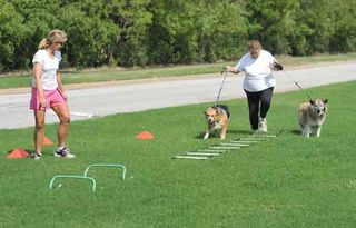 Ashley, Jennie and Pickles exercise together while trainer Cindy Hauss looks on. 'It doesn't necessarily have to be complicated,' said Vogelsang. 'At the end of the day, it's calories in, calories out.'