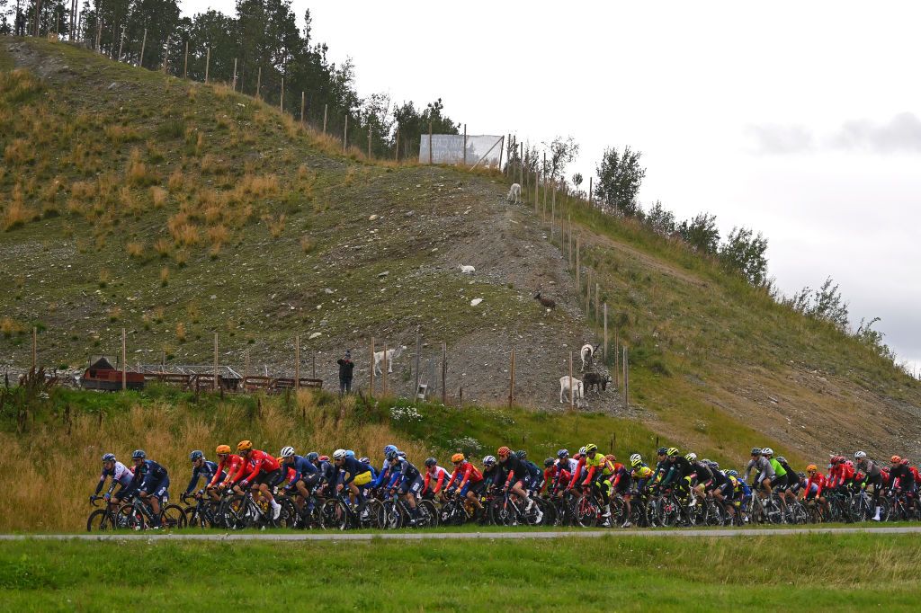 HAMMERFEST NORWAY AUGUST 18 A general view of the peloton competing during the 10th Arctic Race of Norway Stage 2 a 1534km stage from Alta to Hammerfest on August 18 2023 in Hammerfest Norway Photo by Luc ClaessenGetty Images