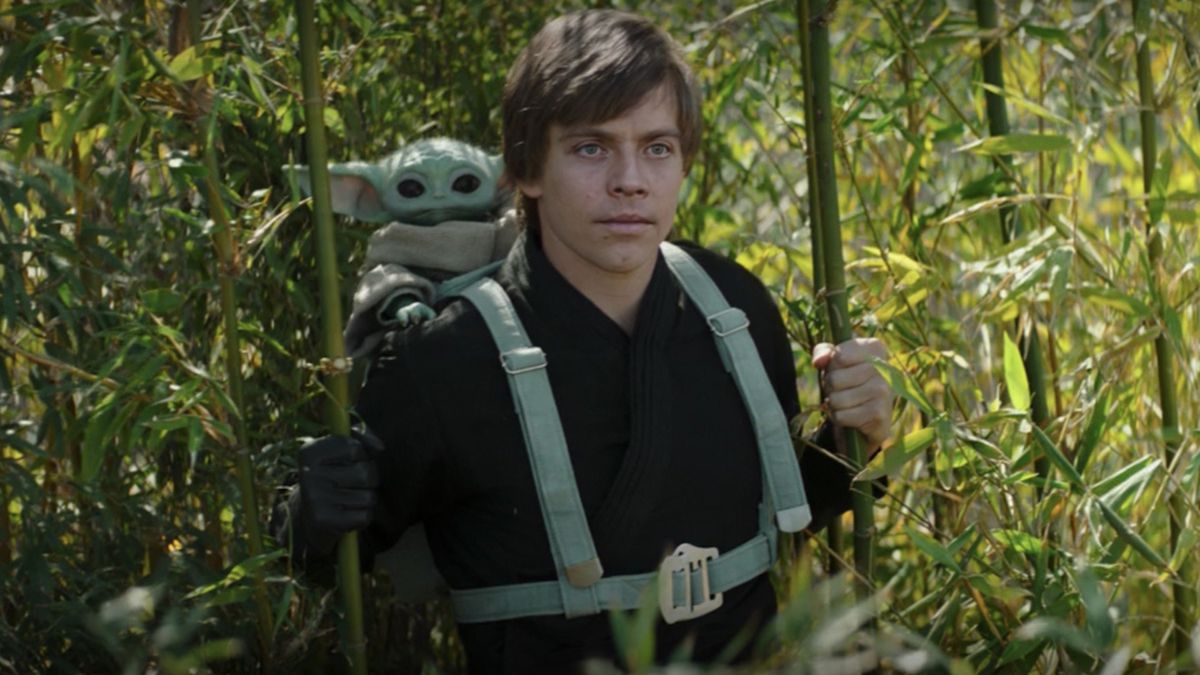 Still from a Star Wars TV show. Standing in the tall bamboo, Luke Skywalker has a Grogu (a small, green alien child) strapped to his back.