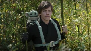 Still from a Star Wars TV show. Standing in the tall bamboo, Luke Skywalker has a Grogu (a small, green alien child) strapped to his back.