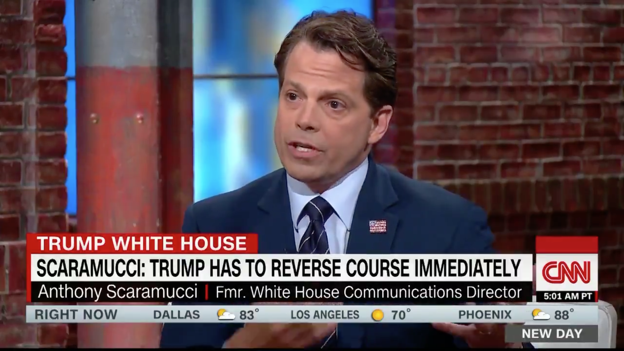 Anthony Scaramucci on CNN.