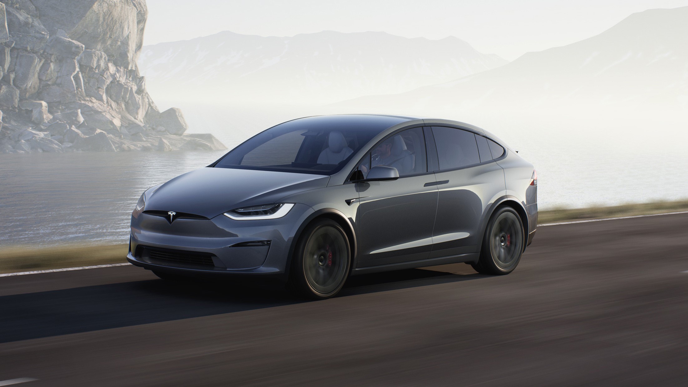 Tesla Model x Patterned