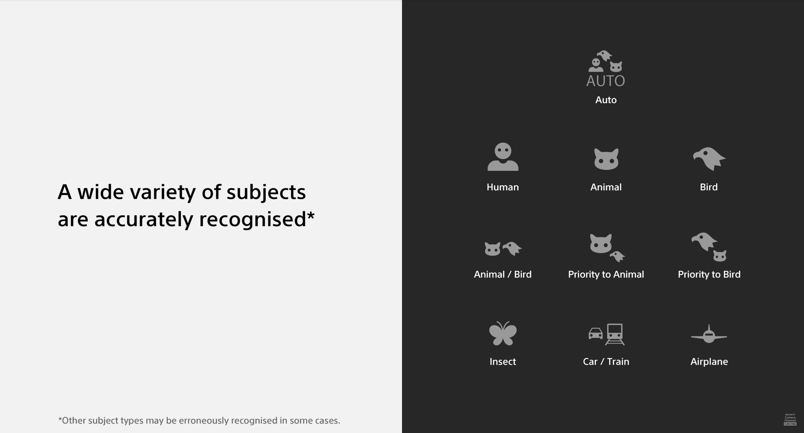 Sony A7 V screen grab