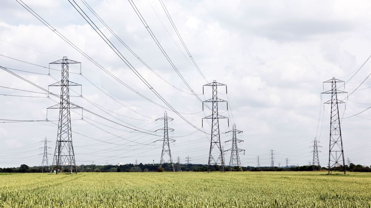 Electricity pylons and corn fields