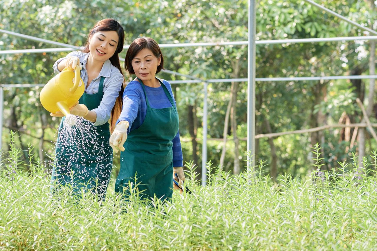 Two Woman Watering Plants In The Garden