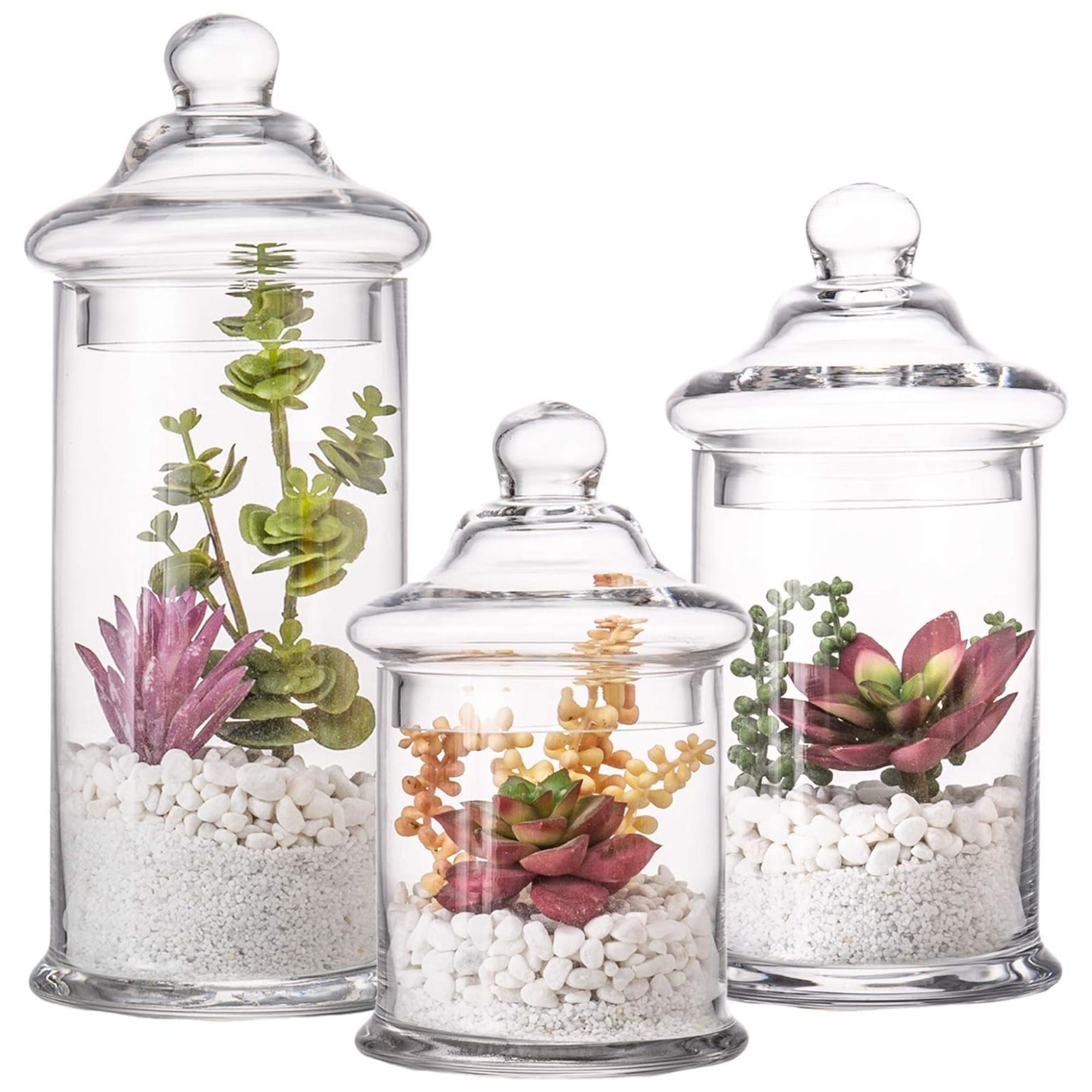 Glass apothecary jars filled with stones and succulents