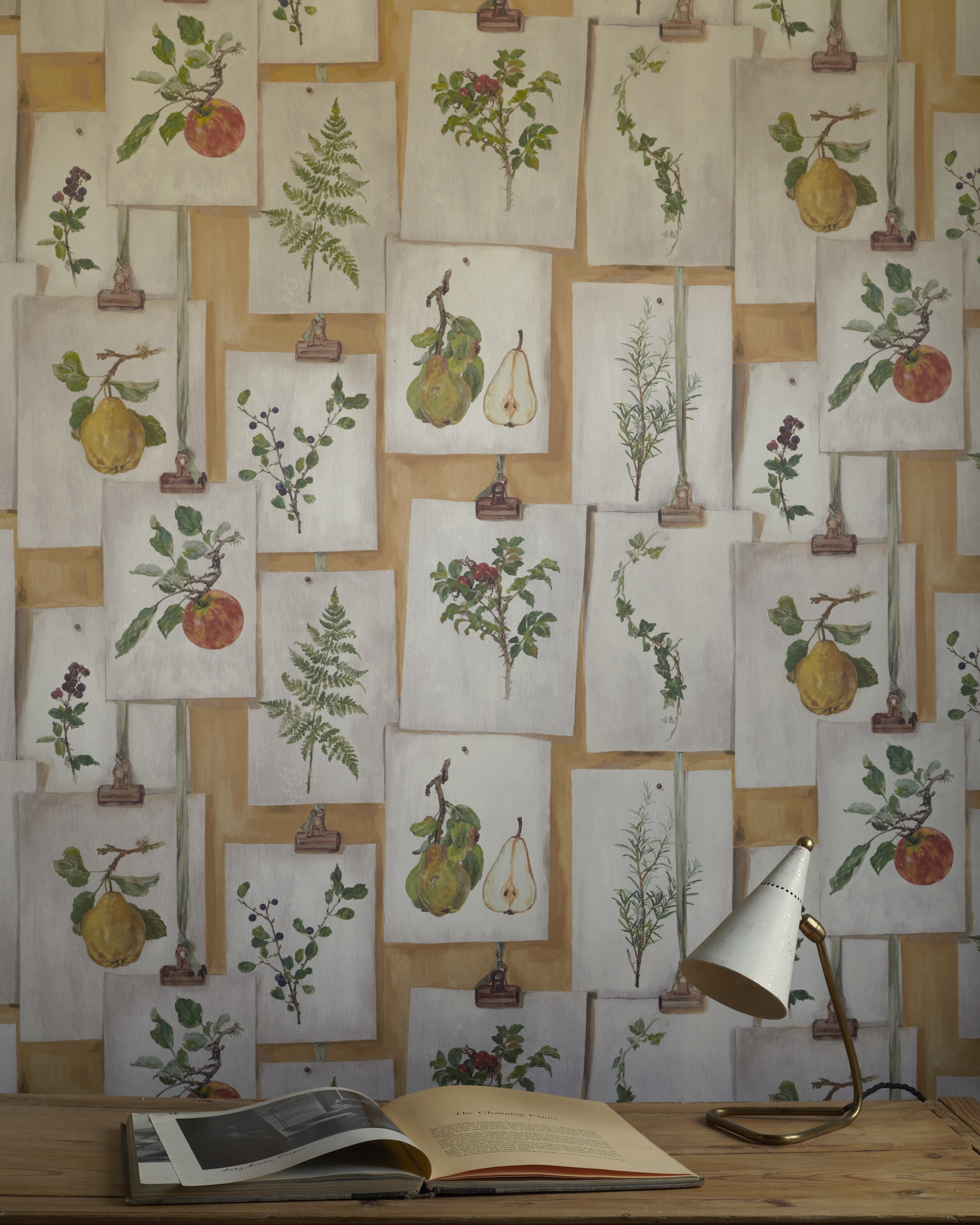 Paints and wallpapers